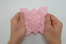 Announcement: Blanket Permission to Fold and Teach Shuzo Fujimoto’s Models (Non-Commercial Use only)