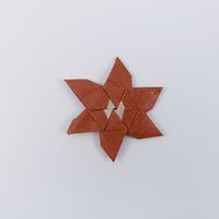 Model 16 from the collection of models folded by Fujimoto, back