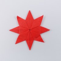 Model 17 from the collection of models folded by Fujimoto, front