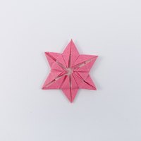 Model 20 from the collection of models folded by Fujimoto, back