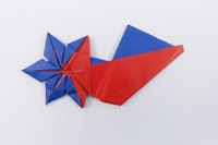 Model 36 from the collection of models folded by Fujimoto, back