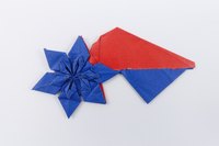 Model 36 from the collection of models folded by Fujimoto, front