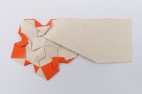 Model 37 from the collection of models folded by Fujimoto, back