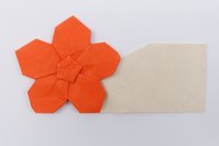 Model 37 from the collection of models folded by Fujimoto, front