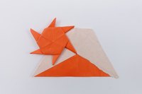Model 38 from the collection of models folded by Fujimoto, front