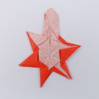 Model 43 from the collection of models folded by Fujimoto, back
