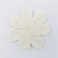 Model 50 from the collection of models folded by Fujimoto, back