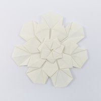 Model 50 from the collection of models folded by Fujimoto, front