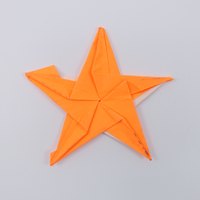 Model 52 from the collection of models folded by Fujimoto, back