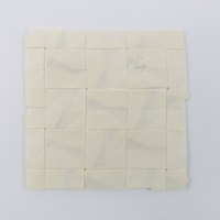 Model 53 from the collection of models folded by Fujimoto, back