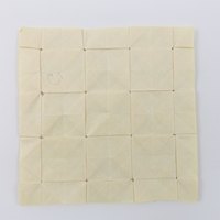 Model 57 from the collection of models folded by Fujimoto, back