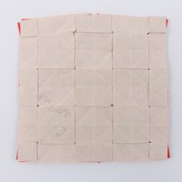 Model 58 from the collection of models folded by Fujimoto, back