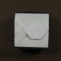 BBU Z2 tile, complete