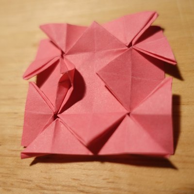 Step 7