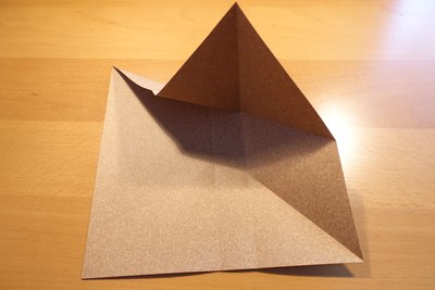 Step 10