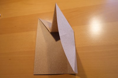 Step 11