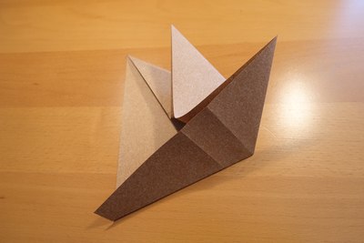 Step 12