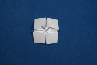 Step 5