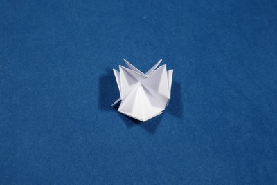 Step 8a