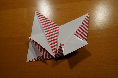 Step 10