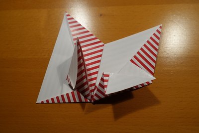 Step 11