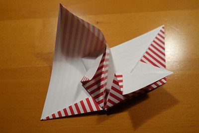 Step 12