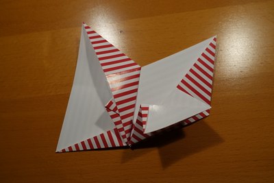Step 13
