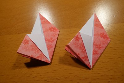 Step 10