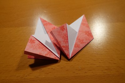 Step 11