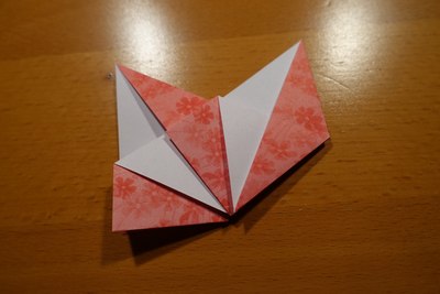 Step 12