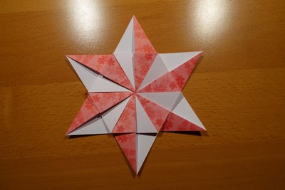 Step 13