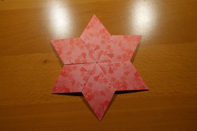 Step 14