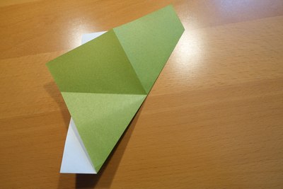 Step 4