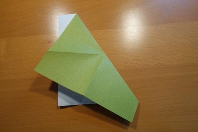 Step 5
