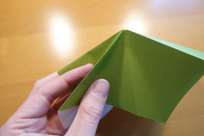 Step 7