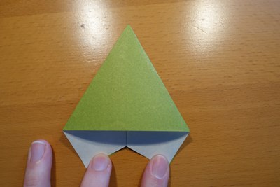 Step 9