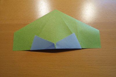 Step 11