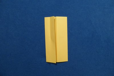 Step 5