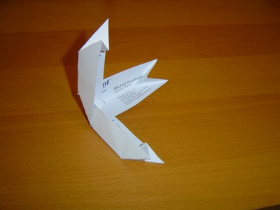 Step 8