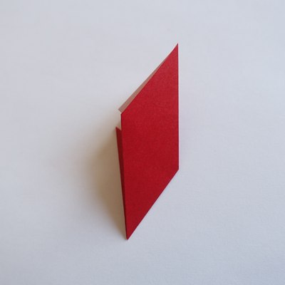 Step 12