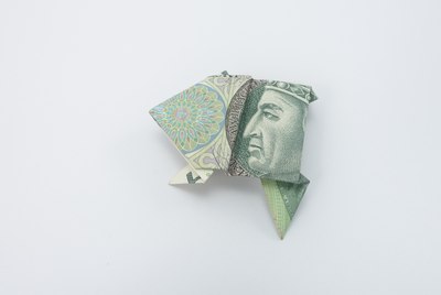 Traditional Frog folded from a 100 zł bill
