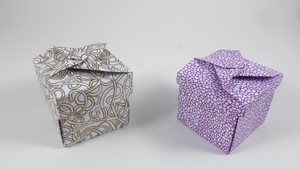 Boxes using two variants of the lid