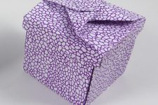 Box with Super-Ninja Star Tessellation (Thin Lid Variant)