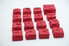 Family Portrait of Boxes with Woven Triangles I-XVI