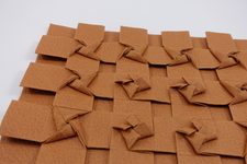 Biogami Paper Review