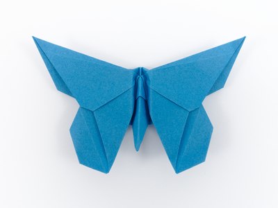 Butterfly for Eric Joisel (Michael G. LaFosse)