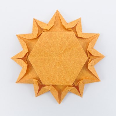 Chrysanthemum, CFW 142 (Shuzo Fujimoto), back