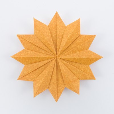 Chrysanthemum, CFW 142 (Shuzo Fujimoto), front