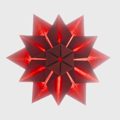 Chrysanthemum Medal, CFW 176 (Shuzo Fujimoto), back-lit