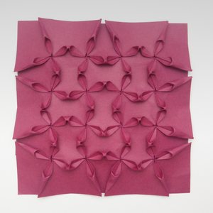 Clematis Tessellation
